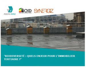 Novembre 2014 : Biodiversité : quels enjeux pour les acteurs de l’immobilier tertiaire ?